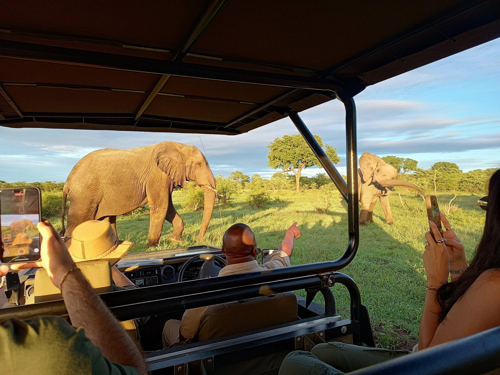 Big Five Safaris