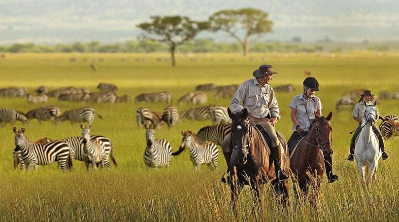 The Open Country