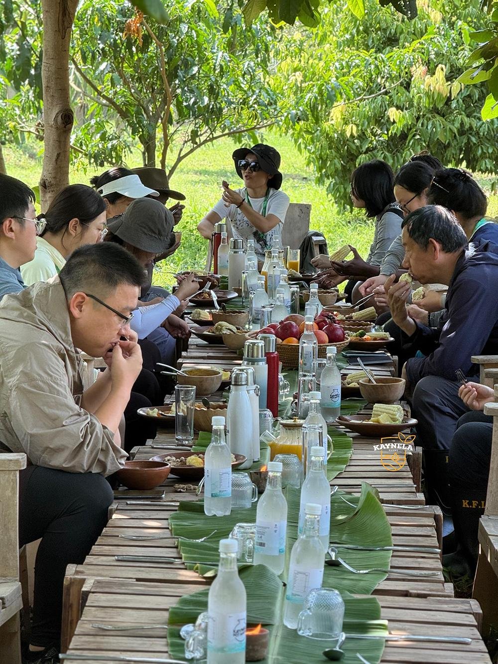 At the Table